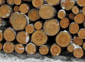 We’ve got a big pile of various wood