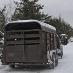 Trailer_2584