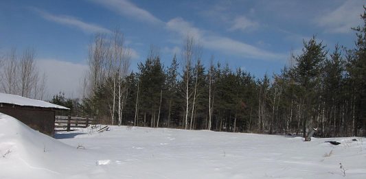 Frosty is doing very well