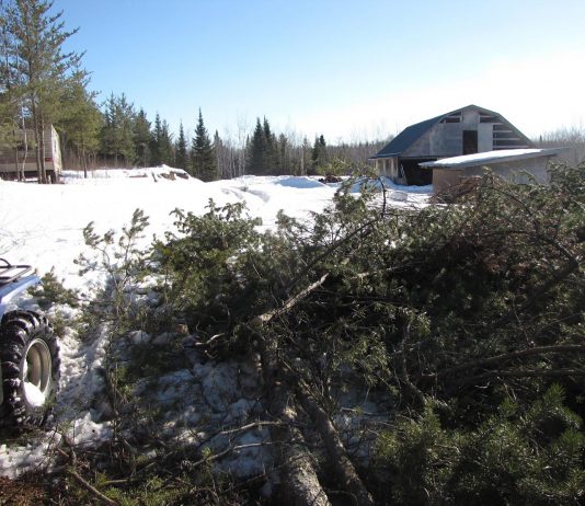 A whole week of warm, sunny weather