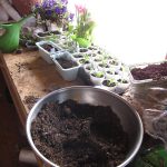 Potting-table_2729