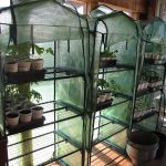 Greenhouses_2885