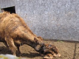 Our beautiful weather continues