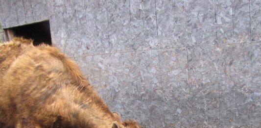 Our beautiful weather continues