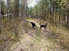 We were up early this morning