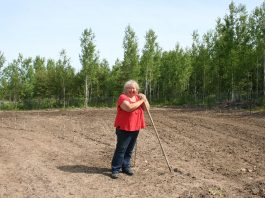 Our new garden is now tilled and planted