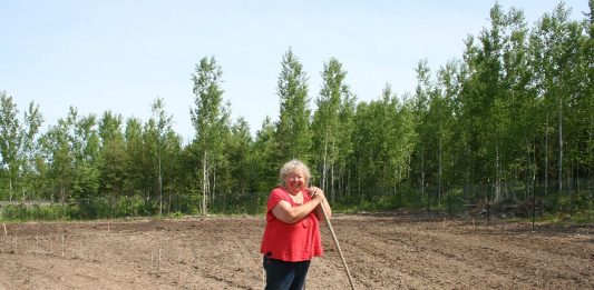 Our new garden is now tilled and planted