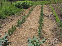 Stuff is just popping up!