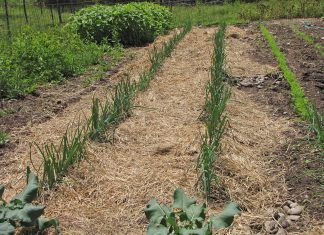 Stuff is just popping up!