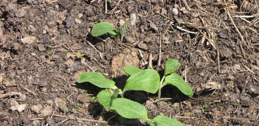 The sun is drying things out so we can get to work