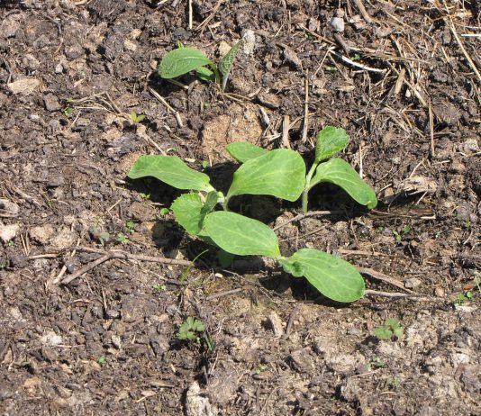 The sun is drying things out so we can get to work