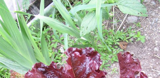 We’re getting so much done