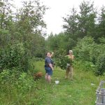 Picking-Cherries_3165