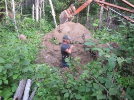 The canning has just begun