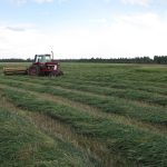 Haying_3282