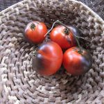 Lovely-Lush-Tomatoes_3373