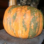 Iran-pumpkin_3131