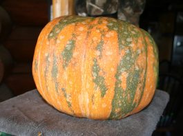 We knew rain was coming so we’ve been working extra hard