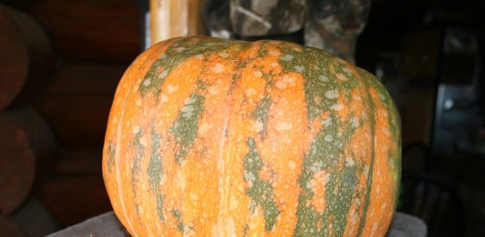 We knew rain was coming so we’ve been working extra hard