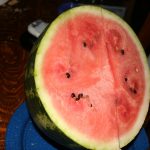 Watermelon_3113