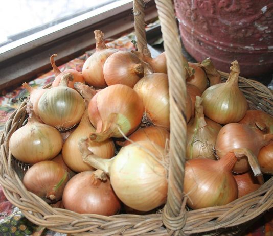 Today it’s really warm … up to 33 degrees