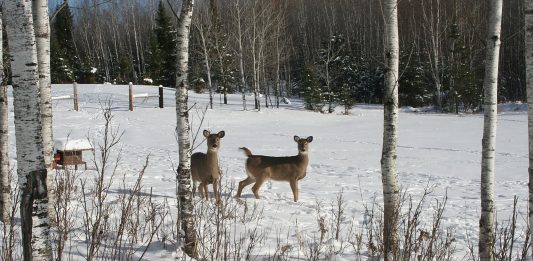 The sun came out and it was 37 degrees yesterday