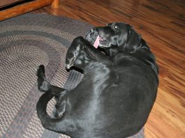 I know now for sure; God has a sense of humor