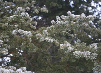 Today the sun is shining