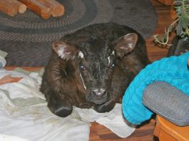 Whew, have we ever been busy!