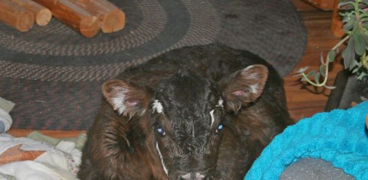 Whew, have we ever been busy!