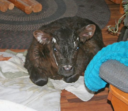 Whew, have we ever been busy!