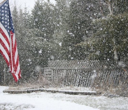 Our tomatoes and peppers are growing nicely indoors, but it’s snowing outside