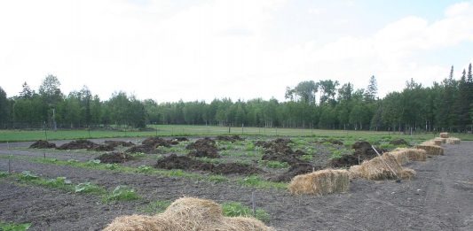 Finally! Rain! But a tornado missed us by several miles…