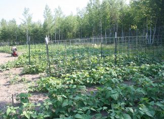 Whew, it sure is hot