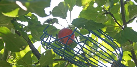 We’re into harvest time