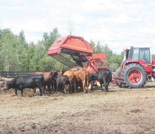 Well, we wanted rain; now it’s raining too much