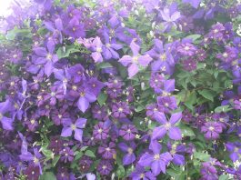 Aren’t friends the best?