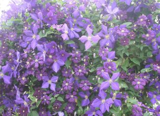 Aren’t friends the best?