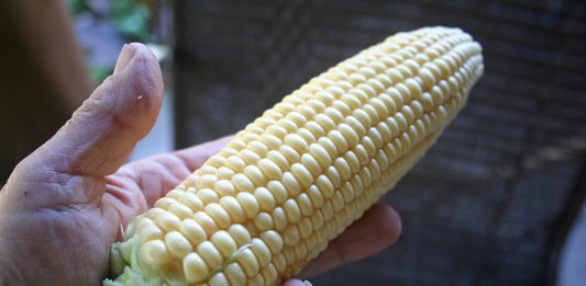 We had four sunny days