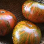 Chocolate-stripes_4693