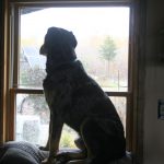 Hondo_4722