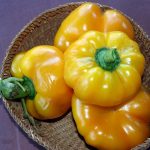 Peppers_5039