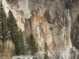 I had a great trip out west with Bill and his family