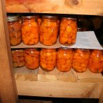 Cannedcarrots_5078