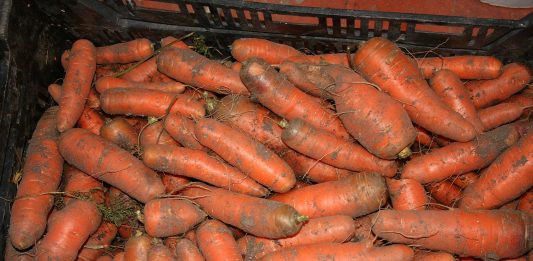 There’s snow on the ground this morning