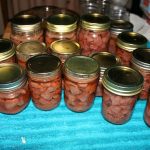 Venison_5119
