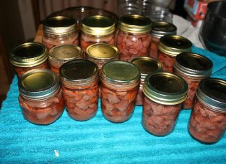 I finally got all of David’s venison canned up