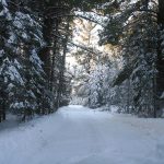 Driveway_5129