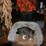 Mittens_5121