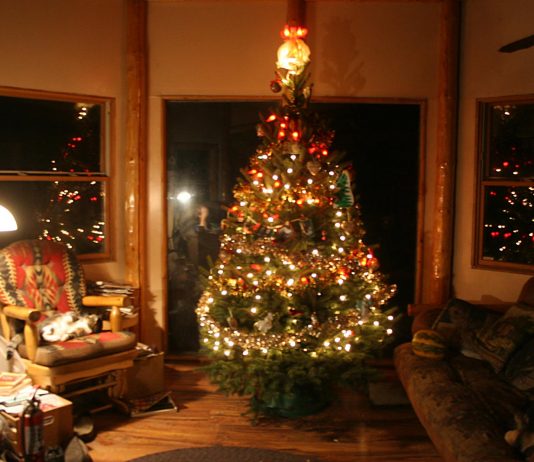 Will and I wish you all a very Merry Christmas!